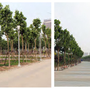 Aluminum landscape lamp | Curved post WD-T336-B | straight post T336-A | PC diffuser | IP55