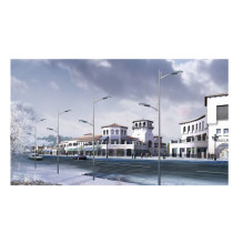 Street light WD-L044 and WD-L509 | road lamp | 10M and 9M high | E27 or E40 | hot-dip galvanizing