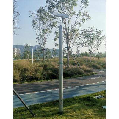 Stainless steel garden light |  Pole light WD-S191107 | CREE LED 65W | 3.5 meters high | Cloud-like lamp head | modern design | Suitable for gardens parks pathways | Applied to building road landscape lighting