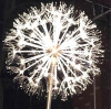 Our new model: the dandelion garden light