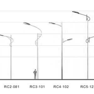 Street light WD-L096 | aluminum lamp head | hot-dip galvanizing pole | COB | LED module | IP65