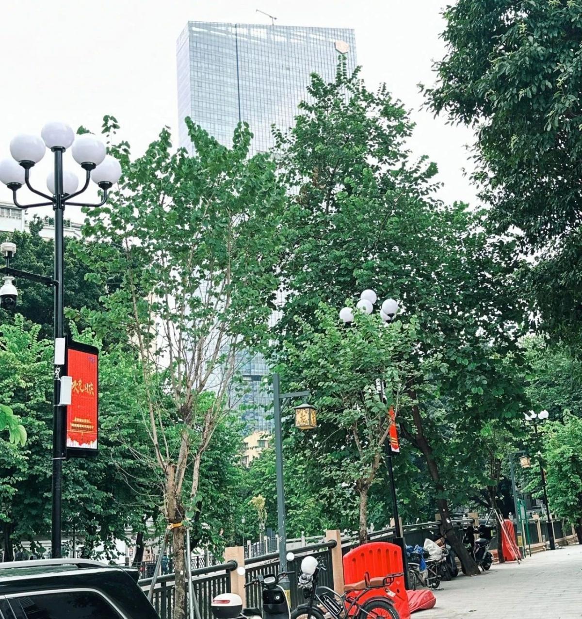  Smart light poles in Shixiang Garden