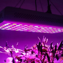 DLC Releases Draft 1 of Horticultural Lighting V4.0 Specification