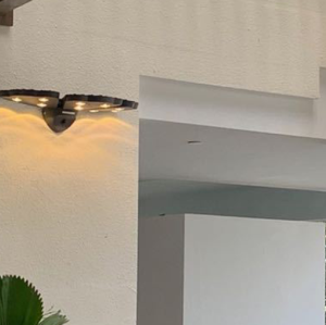 Customized wall lamp | Butterfly flower shape | modern style | CREE LED 16W | Aluminum lamp head
