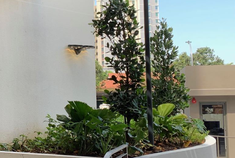 outdoor wall lamp