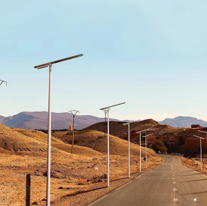 Solar street light | Customized lamp | LED | Aluminum body | high configuration | Automatic lighting