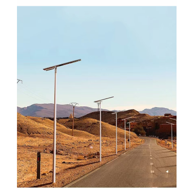 Solar street light | Customized lamp | LED | Aluminum body | high configuration | Automatic lighting