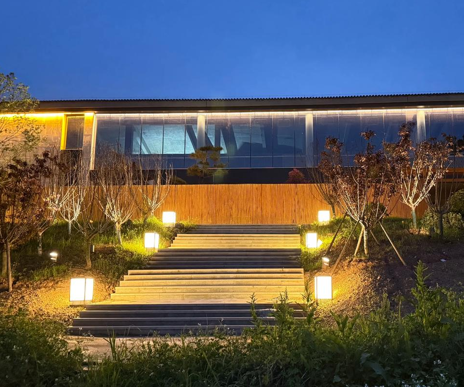 Dividends in the lighting industry