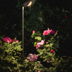 Garden Lamp WD-C916 | Copper Lamp Head | Frosted Acrylic | Landscape Luminaires | IP65