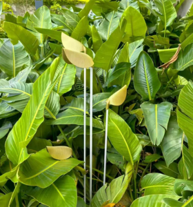 Garden Lamp WD-C916 | Copper Lamp Head | Frosted Acrylic | Landscape Luminaires | IP65