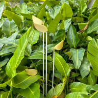 Garden Lamp WD-C916 | Copper Lamp Head | Frosted Acrylic | Landscape Luminaires | IP65