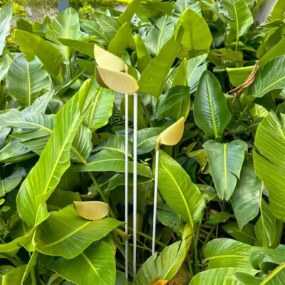 Garden Lamp WD-C916 | Copper Lamp Head | Frosted Acrylic | Landscape Luminaires | IP65