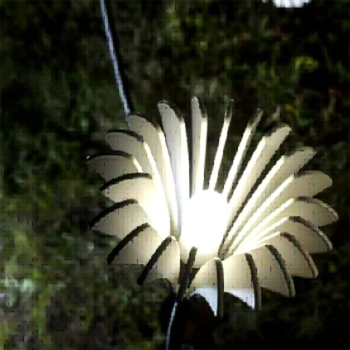 Stainless Steel Garden Lamp | Landscape Lamp WD-C253 | Tempered Glass | Flower Shape Lights | IP55