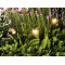 Garden Lamp WD-C068 | stainless steel | IP65 | Frosted acrylic diffuser | brass Lamp head