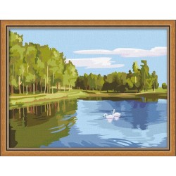 Paintboy pintura por números
