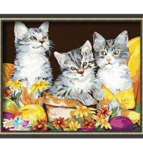 Diy pintura al óleo por números para los niños, Animal imagen del gato foto pintura al óleo por números