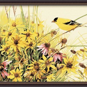 Diy oil Painting by numbers for kids, factory new flower photo oil painting kit
