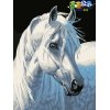 Horse - Diy oil painting by numbers