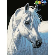 Horse - Diy oil painting by numbers
