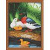 Best price Diy oil paint by numbers E050 animal design acrylic digital painting on canvas jia cai tian yan