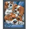 Best price Diy oil painting by numbers E053 dog picture animal design canvas oil painting