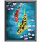 Diy oil Painting abstract fish picture seascape diy oil painting by numbers