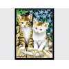 Diy oil painting by numbers cat picture design painting kit