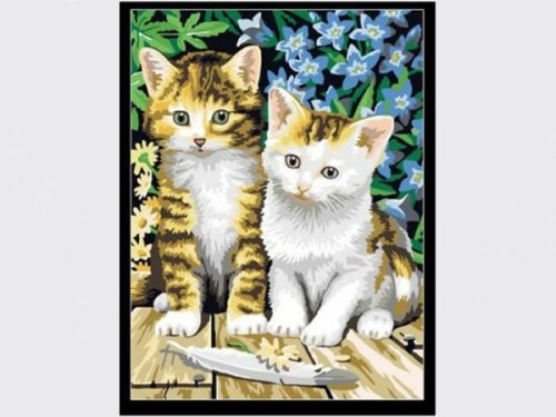 Diy oil painting by numbers cat picture design painting kit