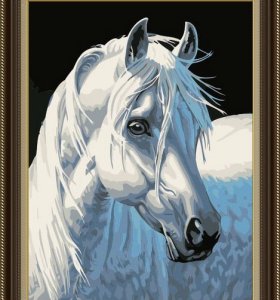 E082 white horse design animal picture diy handmaded painting by numbers on canvas