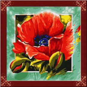 Diy malen nach zahlen- en71-3- astmd- 4236- junge 40*40cm acrylfarbe malen