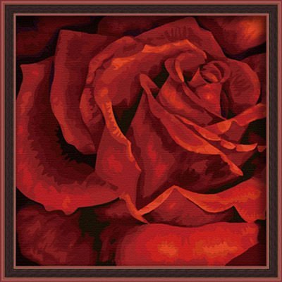 Diy oil painting by digital F002 flower picture red rose oil painting by numbers