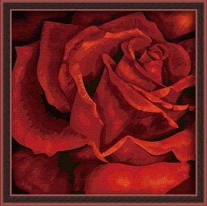 Diy oil painting by digital F002 flower picture red rose oil painting by numbers