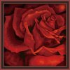 red rose abstract flower oil painting wholesales diy oil painting by numbers