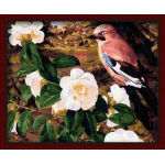 Malen nach zahlen- Umwelt acrylfarbe- Erreichen ce blumenmalerei 40*40cm