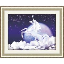 paintboy 5D diy diamond white horse painting