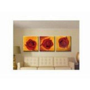 40*50cm leinwand fotodruck nach zahlen drei Platten blumenbild streichend