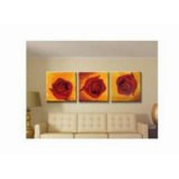 40*50cm stretched canvas photo printing by numbers three panels flower picture painting