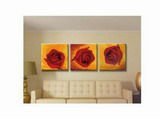40*50cm stretched canvas photo printing by numbers three panels flower picture painting