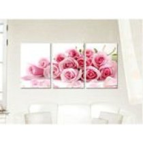 P024 pink rose flower design painting on canvas Diy oil Painting by numbers