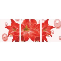 p029 rote blume design gemälde gute qualität diy Öl malen nach zahlen