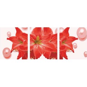 p029 rote blume design gemälde gute qualität diy Öl malen nach zahlen