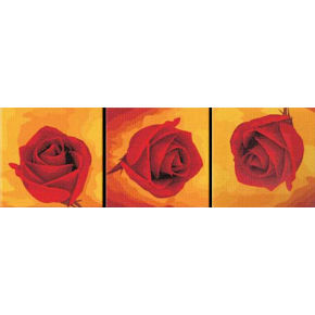 Blume stillleben diy digitalen Öl gemälde von nummer fabrik 40*40*3