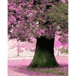 Triptychon diy Öl malen nach zahlen auf leinwand hot baum foto gx7164