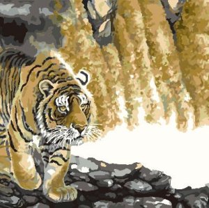 H016 tiger design painting on canvas Paint by numbers