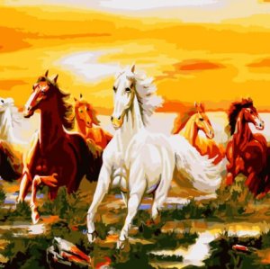 Good quality Diy oil Paint by numbers H011 running horse paionting hot selling