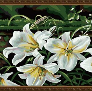 wholesales diy oil painting by numbers flower picture factory new flower design digital painting
