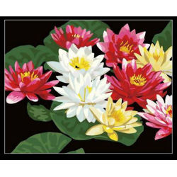 Pintura con números - pintura de acrílico para colorear por correo aéreo de números de imagen de la flor pintura 40 * 50