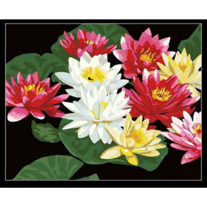 Malen mit zahlen- Acryl malen färbung nach zahlen blume bild- Lack Junge 40*50