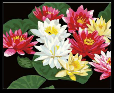 painting with numbers - acrylic paint coloring by numbers flower picture - paint boy 40*50