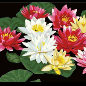 painting with numbers - acrylic paint coloring by numbers flower picture - paint boy 40*50